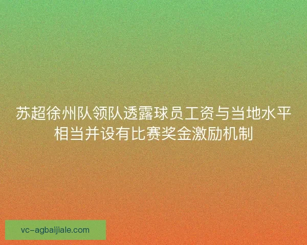 苏超徐州队领队透露球员工资与当地水平相当并设有比赛奖金激励机制