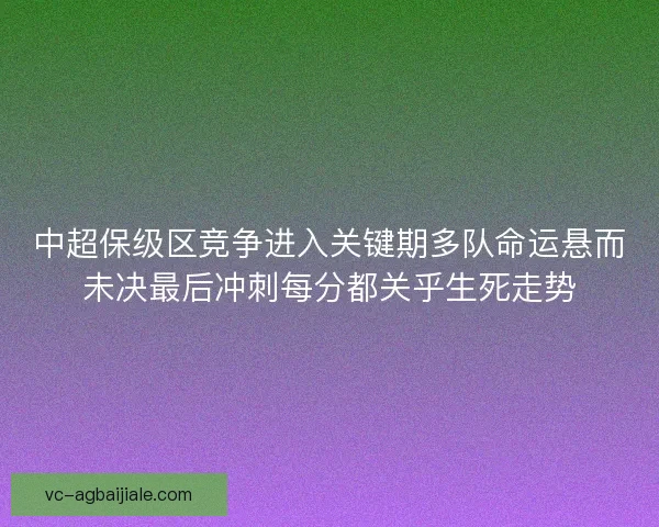 中超保级区竞争进入关键期多队命运悬而未决最后冲刺每分都关乎生死走势